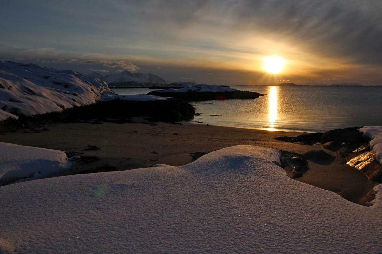 Superior Cottage With Sea View In Senja Senjehesten Esterno foto