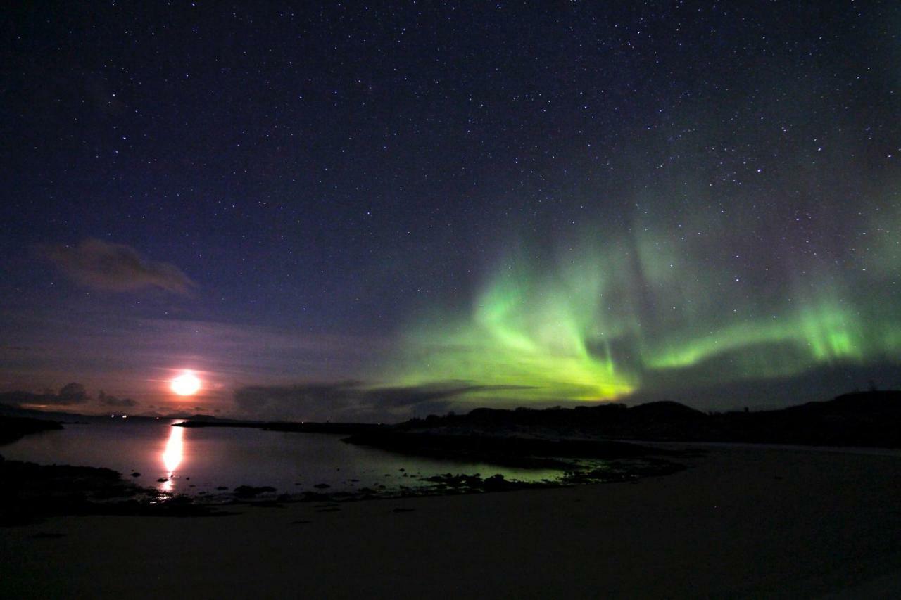 Superior Cottage With Sea View In Senja Senjehesten Esterno foto